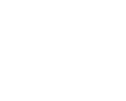 Tiflisy_Didtillery_Logo